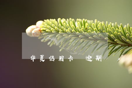 华夏信用卡 逾期 华夏信用卡 逾期